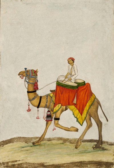 Un cammello con il suo cavaliere che suona i tamburi, c. 1840 da French School