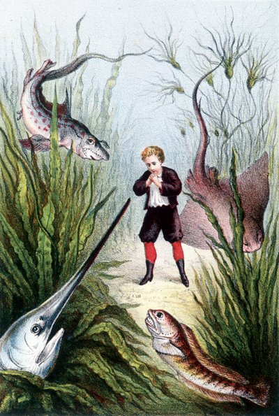 Un ragazzo circondato da pesci giganti - in "Viaggio al fondo del mare" di H. de la Blanchère. Parigi, ed. Jouvet et Cie, sd. 1880. da French School