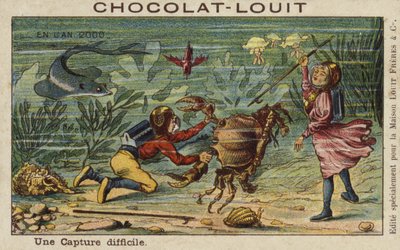 Una cattura difficile nell