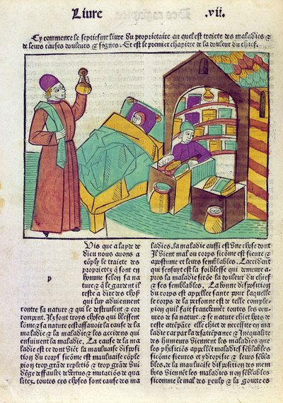Un paziente con un medico e un farmacista, da Le Livre des Proprietes des Choses di Barthelemy l