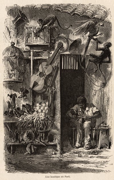 Un negozio a Para, illustrazione del viaggio di Mr. Biard in Brasile nel 1858-1859. Incisione in "Le tour du monde" 1861 da French School