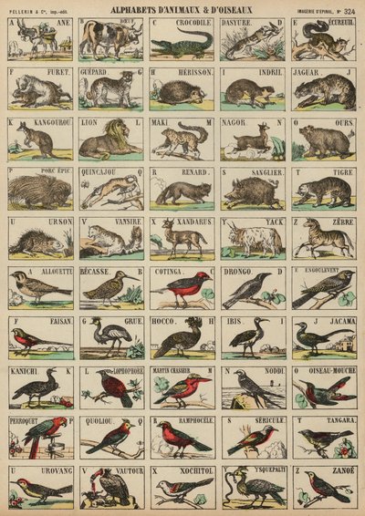 Dalla A alla Z di animali e uccelli da French School