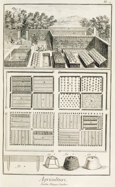 Un orto, da The Encyclopedia of Science, Art and Engineering di Denis Diderot (1713-84), c.1770 da French School