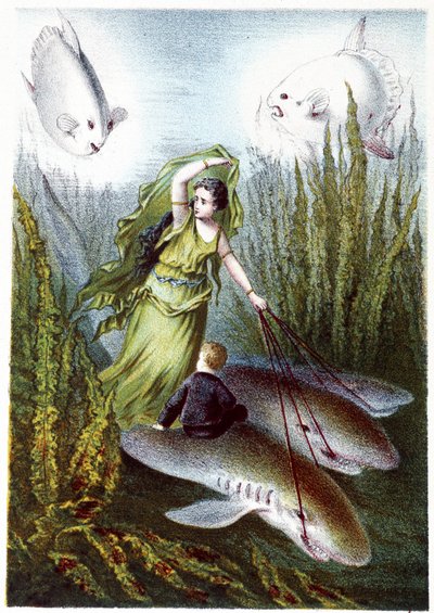 Una donna e un ragazzo che fuggono da pesci giganti su squali - in "Viaggio al fondo del mare" di H. de la Blanchère. Parigi, ed. Jouvet et Cie, sd. 1880. da French School