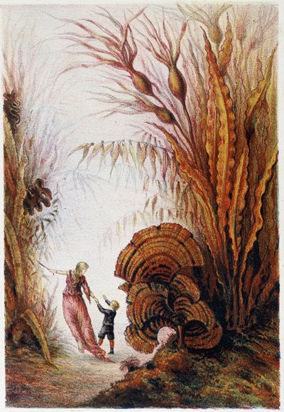 Una donna e un ragazzo che camminano nel mondo sottomarino - in "Viaggio al centro del mare" di H. de la Blanchère. Parigi, ed. Jouvet et Cie, sd. 1880 da French School