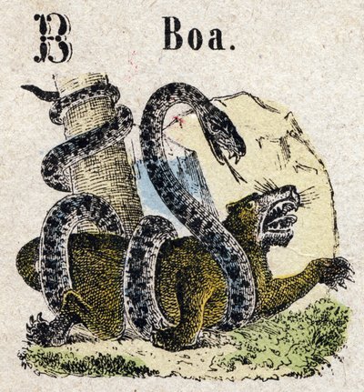 Abecedario. Lettera B come Boa. Piccolo alfabeto enciclopedico, serie popolare. Immagini di Epinal, fine XIX secolo da French School