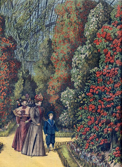 Giardino di acclimatazione - la serre des camelias - Serra di camelie in un giardino botanico da French School