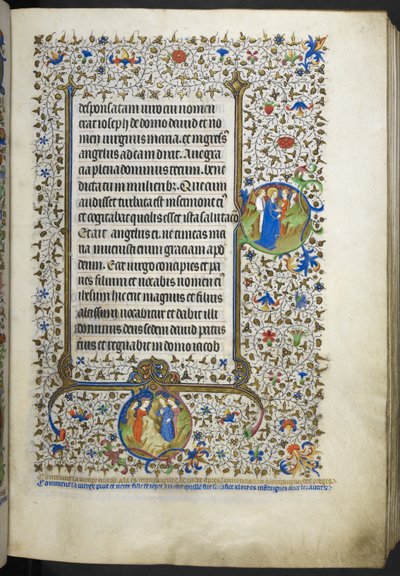 Libro delle Ore (Le Ore di Bedford) c.1410-30 da French School