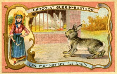 Cromolitografia Pubblicitaria dei Cioccolati Guerin Boutron, Mammiferi, La Gabbia del Coniglio e Selvatici, Warren da French School
