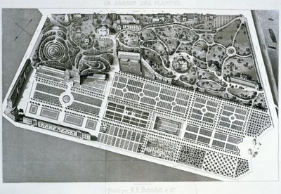Veduta aerea del piano del Jardin des Plantes a Parigi, 1842 da French School