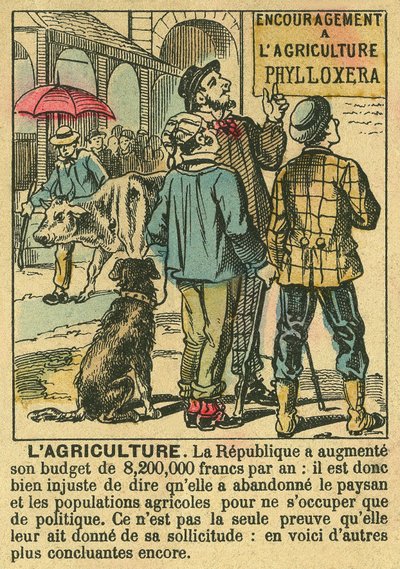 Agricoltura illustra i benefici della Terza Repubblica sugli investimenti agricoli e la sua attenzione per le popolazioni contadine. Incisione, in 