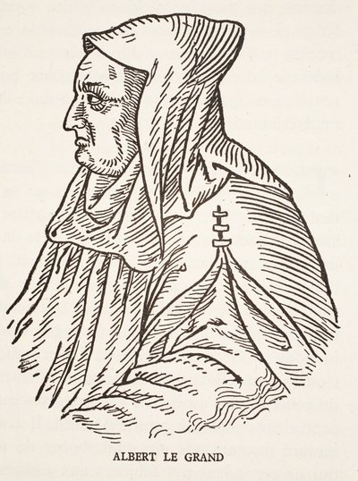 Alberto Magno da French School