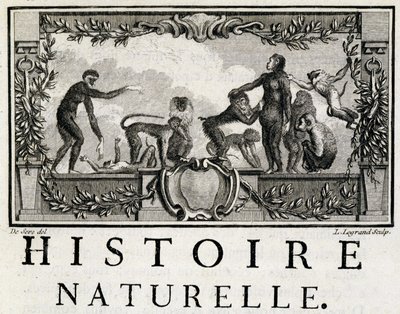 Allegoria di Storia naturale sulle scimmie - in “Storia naturale, generale e particolare” di Buffon da French School