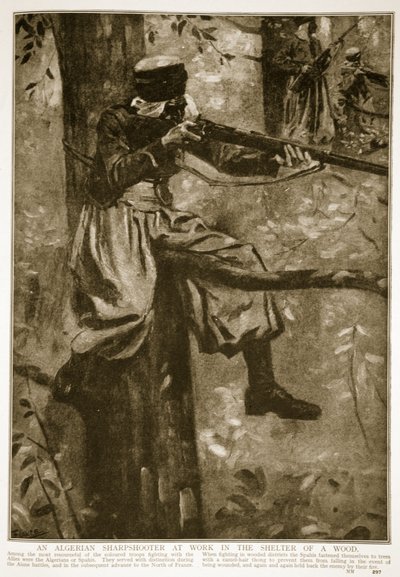 Un tiratore scelto algerino al lavoro nel riparo di un bosco, 1914-19 da French School