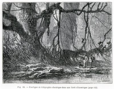 Linea telegrafica elettrica in una foresta americana, c.1870 (incisione) da French School