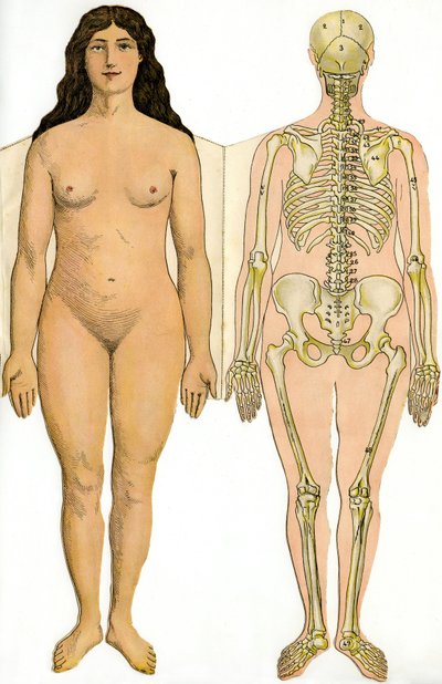 Tavola anatomica pieghevole della Nuova Enciclopedia Pratica di Medicina e Igiene, del Dr. Rehm, Libreria Aristide Quillet 1922 - corpo umano - donna nuda e scheletro femminile da French School