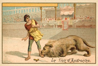 Androclo e il leone da French School