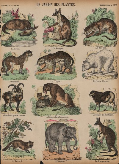 Animali al Jardin des Plantes, Parigi, Francia da French School