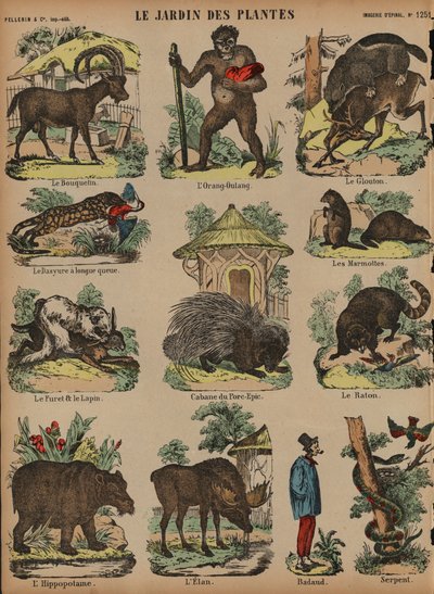 Animali al Jardin des Plantes, Parigi, Francia da French School