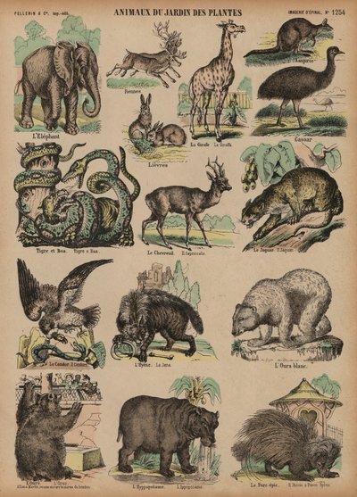 Animali del Jardin des Plantes, Parigi, Francia da French School