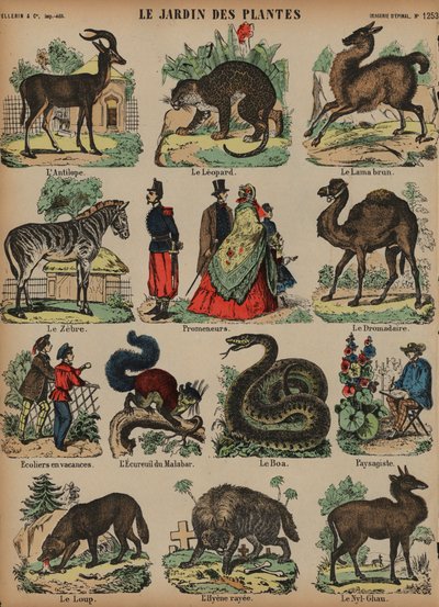 Animali del Jardin des Plantes, Parigi, Francia da French School