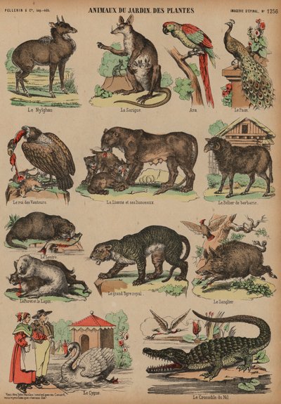 Animali del Jardin des Plantes, Parigi, Francia da French School