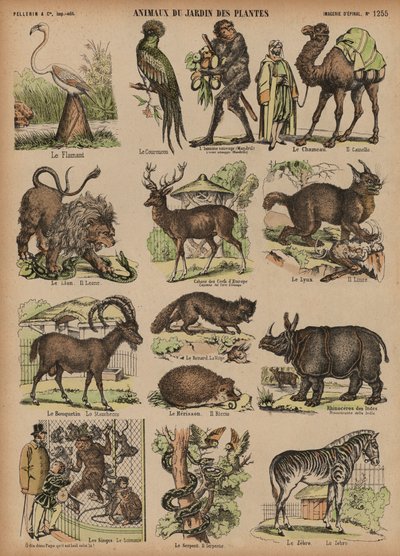 Animali del Jardin des Plantes, Parigi, Francia da French School