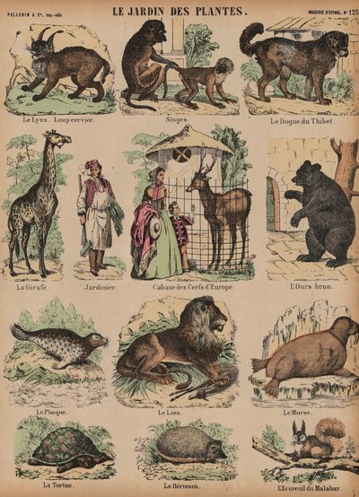 Animali del Jardin des Plantes, Parigi, Francia da French School