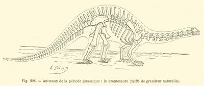 Animali del periodo giurassico, il brontosauro da French School