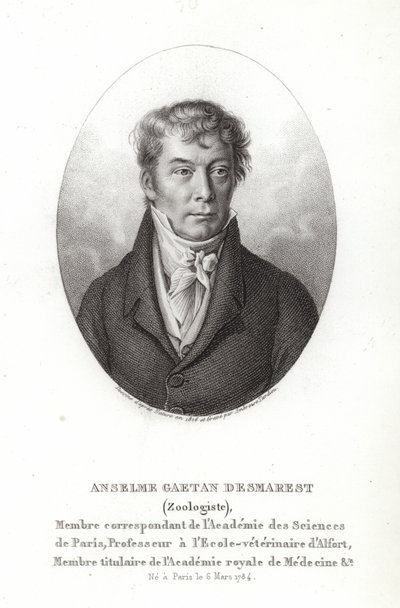 Anselme Gaëtan Desmarest da French School