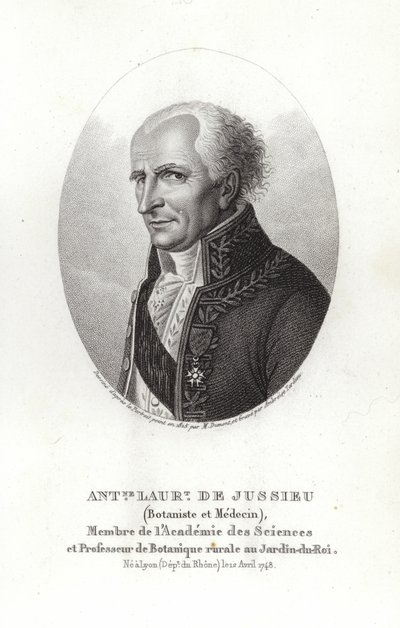 Antoine Laurent de Jussieu da French School