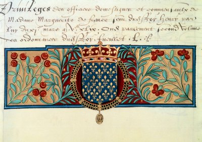 Armi di Francia (circondate dalla collana dell