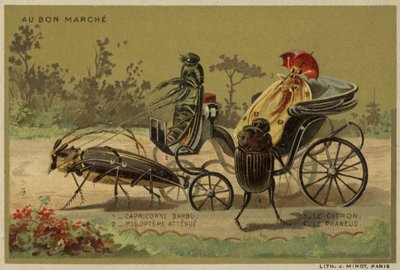 Carte Au Bon Marché con insetti antropomorfi da French School