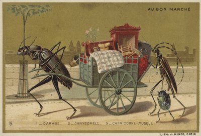 Carte Au Bon Marché con insetti antropomorfi da French School