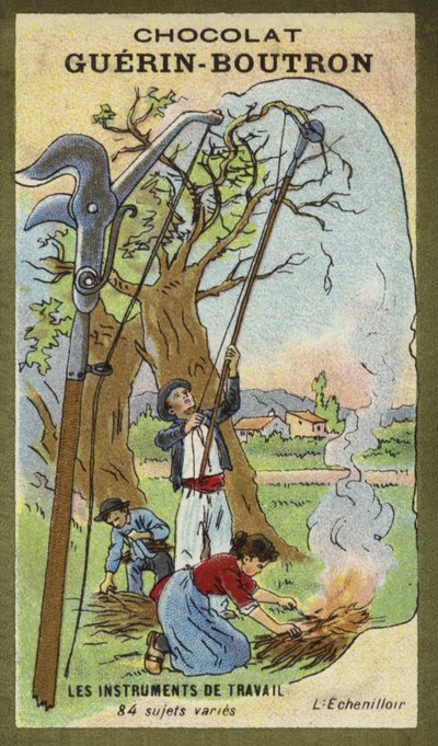 Averruncatore da French School