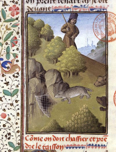 Caccia al tasso - nel "Libro di Caccia di Gaston Phoebus, Conte di Foix, Signore di Béarn" da French School