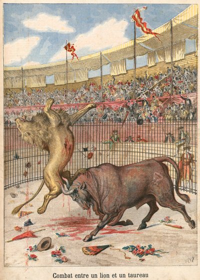 Battaglia tra un leone e un toro da French School