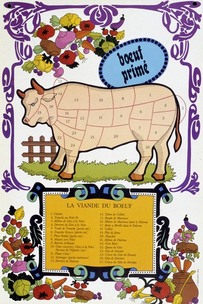 Carne bovina e i suoi pezzi - Poster del macellaio, XX secolo da French School