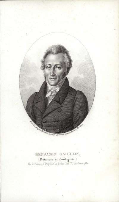 Benjamin Gaillon da French School