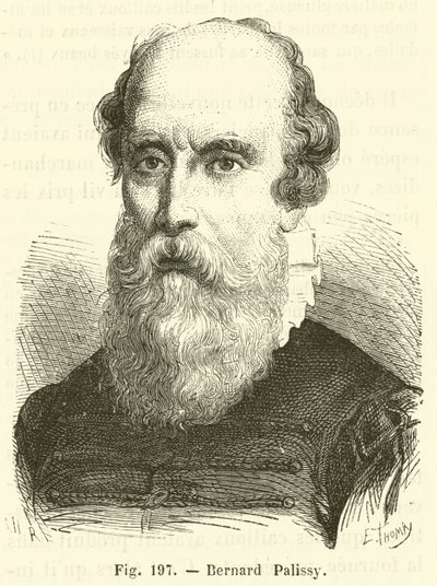 Bernard Palissy da French School