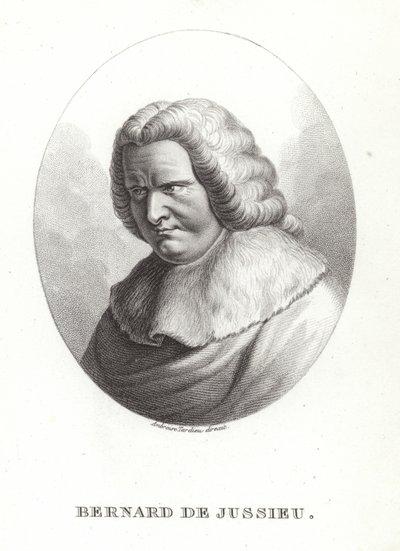 Bernard de Jussieu da French School