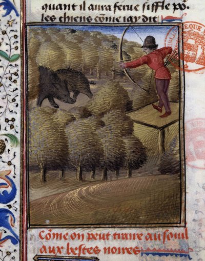 Caccia al cinghiale con l