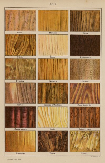 Bois (litografia a colori) da French School