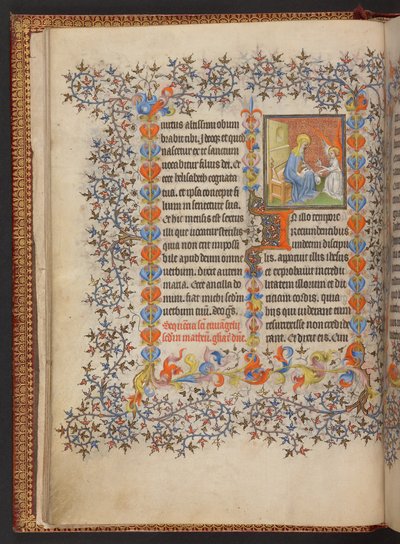 Libro d