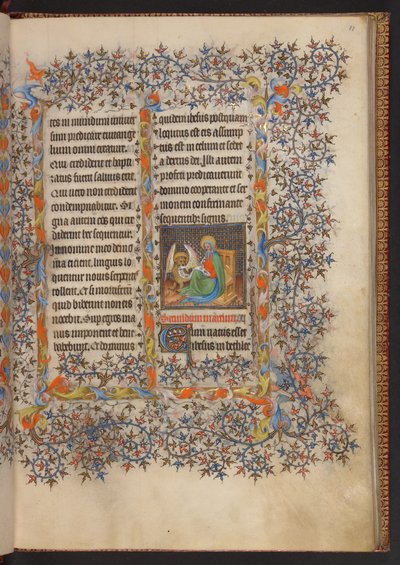 Libro d