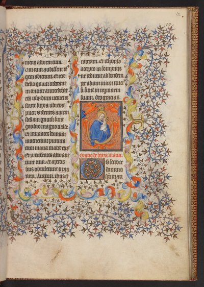 Libro d