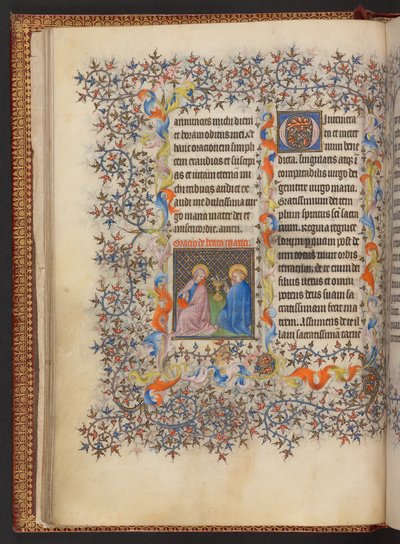 Libro d