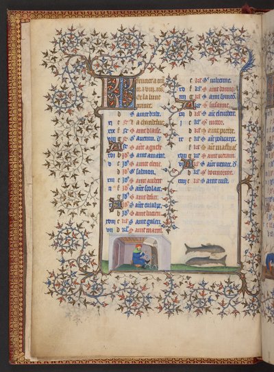 Libro d