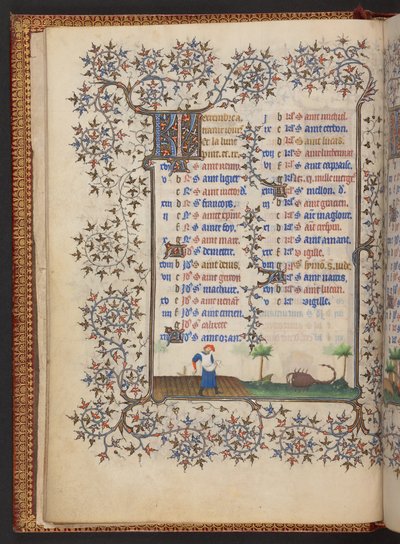 Libro d