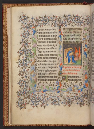 Libro d